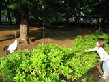 e0020771_2155148.jpg
