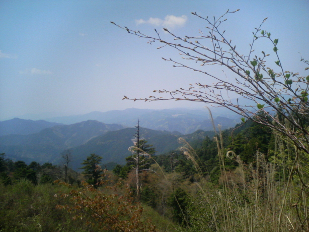 f0117673_22345940.jpg