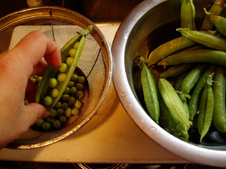 豆ごはん。_d0066677_15484151.jpg