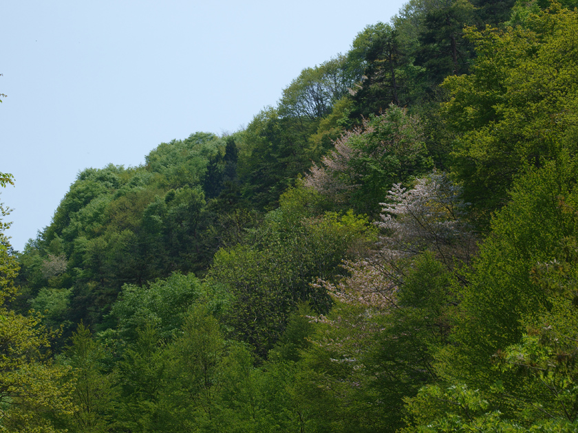 d0152981_2029560.jpg