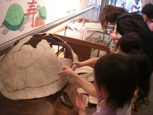 f0172281_16444664.jpg