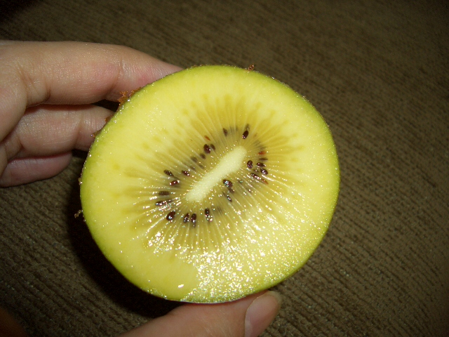 c0175883_14271720.jpg