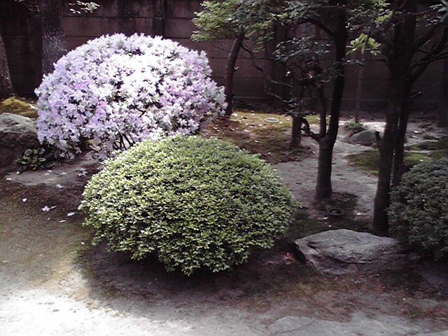 薫風之音ライブ2009_e0046190_22787.jpg