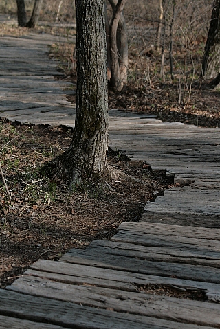 d0133693_1640129.jpg