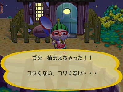 街へいこうよ どうぶつの森 プレイ日記94日目 やっぱアッチにしときゃよかった日々 ゚ つd ゚ 街へいこうよ どうぶつの森 プレイ日記94日目 やっぱアッチにしときゃよかった日々 ゚ つd ゚