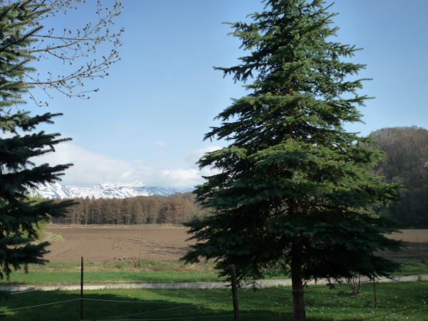 f0187700_9263754.jpg