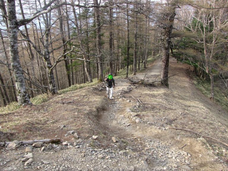 今年初テント泊にずっしり…　雲取山（奥多摩小屋テント場～雲取山～七ツ石山～小袖乗越）_b0116703_834884.jpg