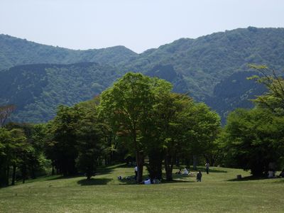 d0149103_13225084.jpg