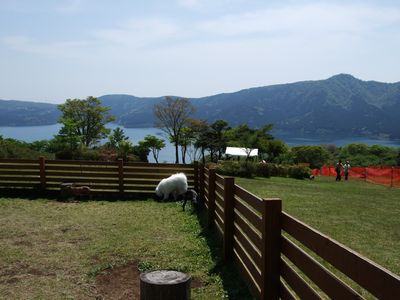 d0149103_13291298.jpg