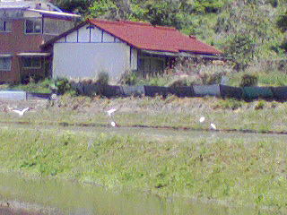e0124705_22483574.jpg