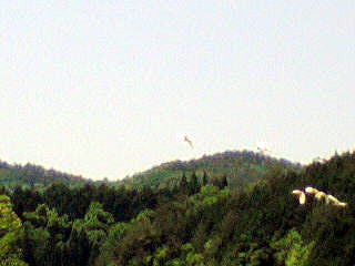 e0124705_22484756.jpg