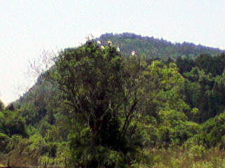 e0124705_2249284.jpg