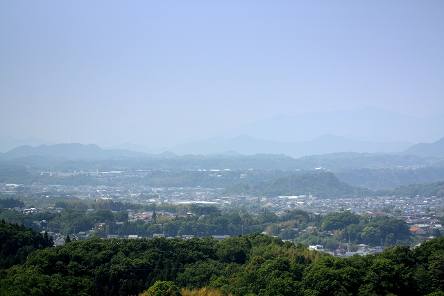 花フェスタ記念公園_a0116107_1763942.jpg