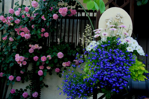 b0014607_2123231.jpg