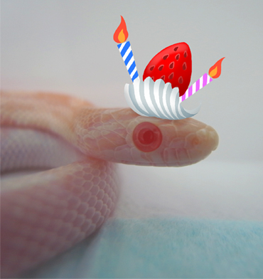 ◆誕生日でした◆_e0177207_23313861.jpg