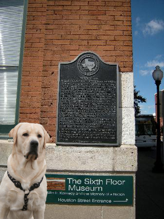 f0191413_21144719.jpg