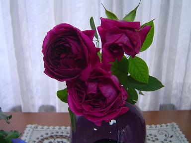 a0114314_931566.jpg