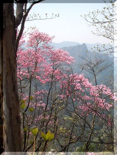 水芭蕉と吹割の滝_c0073016_014999.jpg