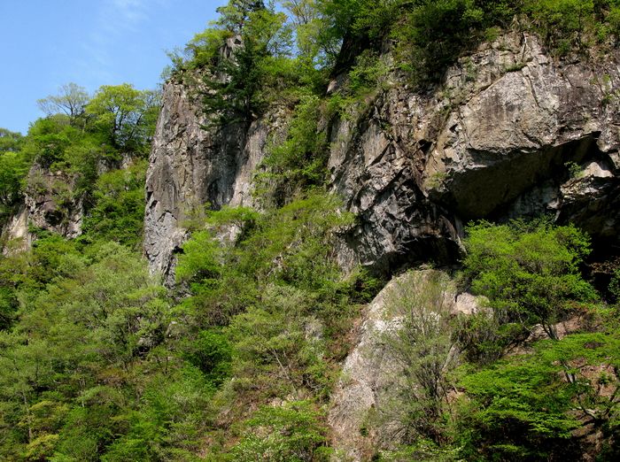 c0073016_033092.jpg