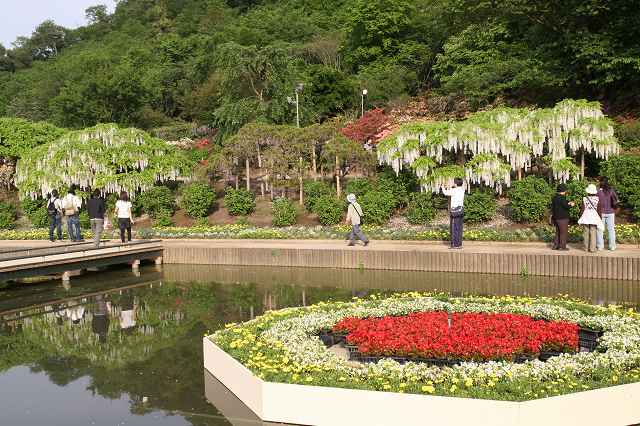 e0117318_23231571.jpg