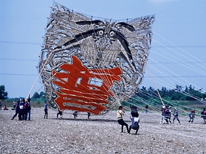 c0157523_6311325.jpg