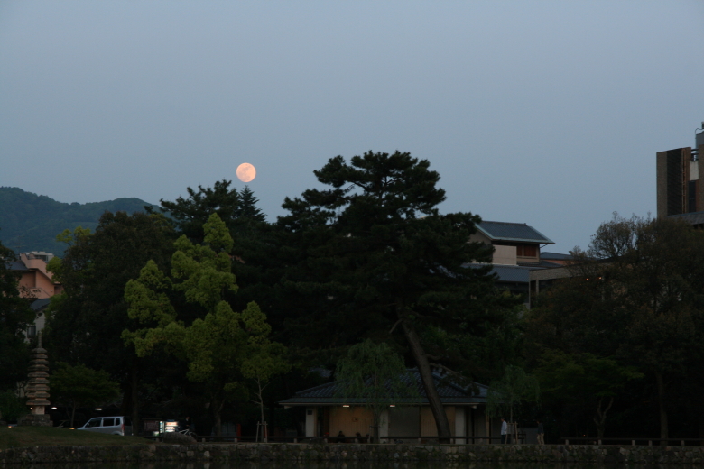 b0132924_11382044.jpg