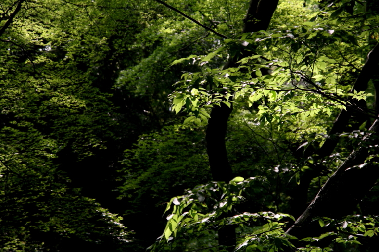 b0132924_11542140.jpg