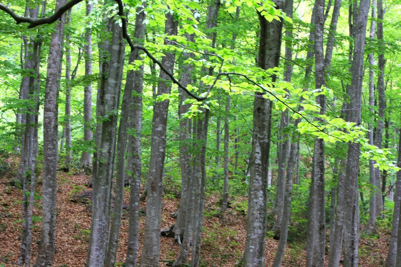 c0104227_7293457.jpg