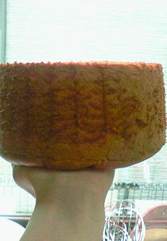 オレンジシフォン_a0113430_14314680.jpg