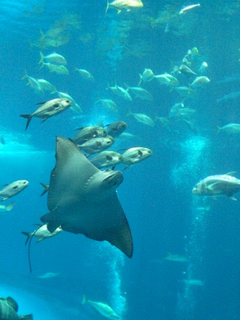 a0117937_167117.jpg