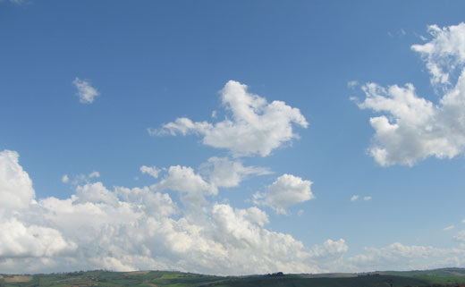 e0129137_77382.jpg