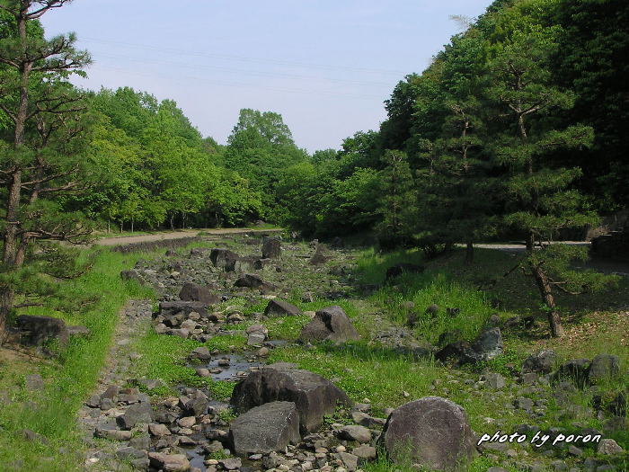 山田池公園は、だんだんと新緑が濃くなってきました。_c0137342_1093730.jpg