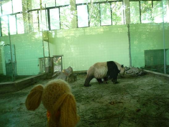 上海旅行記いきなり番外編・上海動物園の巻_e0163545_1217376.jpg