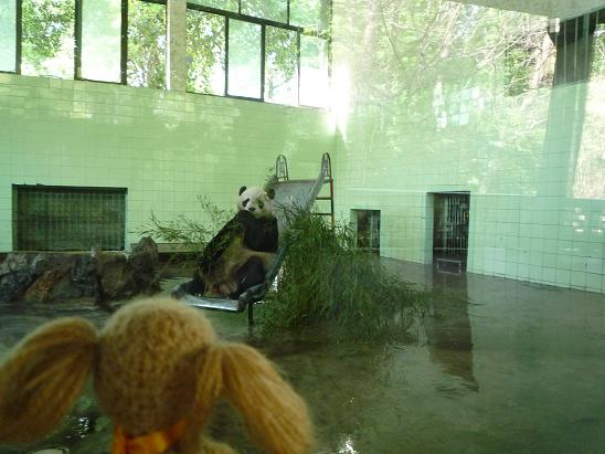 上海旅行記いきなり番外編・上海動物園の巻_e0163545_12202650.jpg