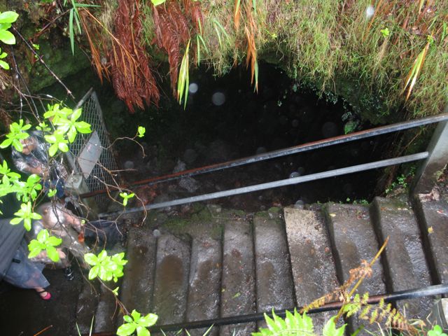 e0076349_1434720.jpg