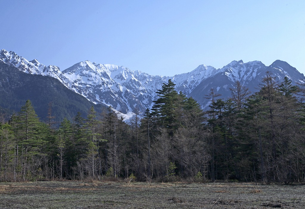 e0163149_8383336.jpg