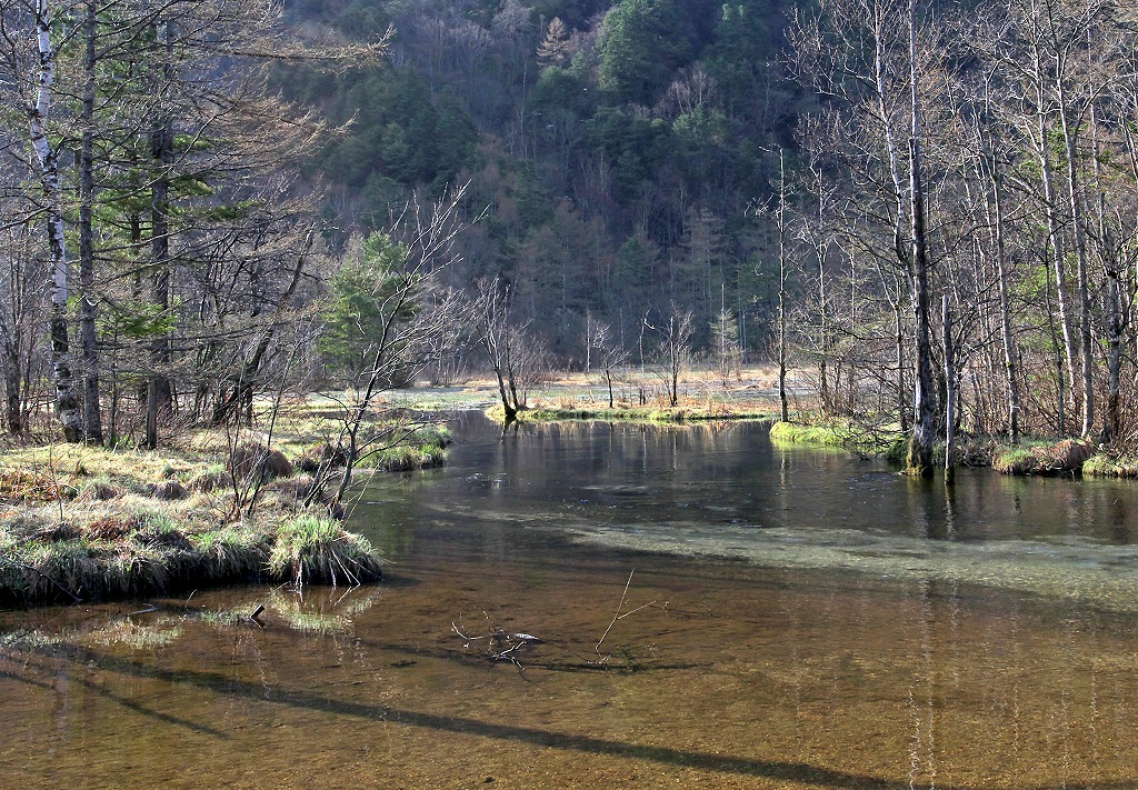e0163149_8393281.jpg