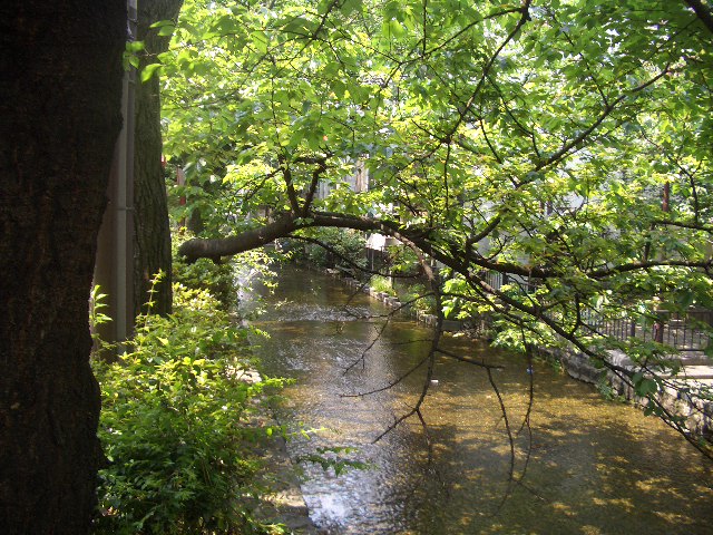 b0163750_22554682.jpg