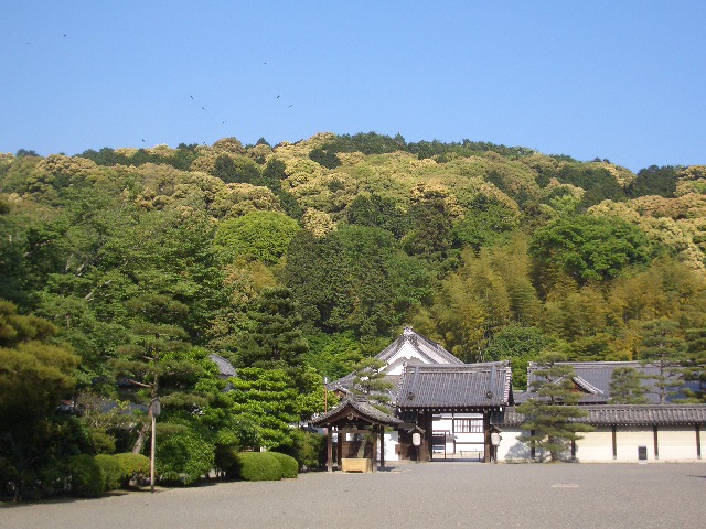 b0163750_23273577.jpg