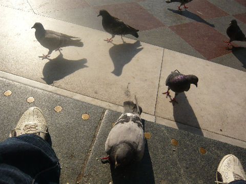 f0203452_1132592.jpg