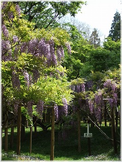 e0131153_03321.jpg