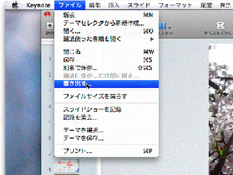 Keynote \'09でのスライドショー作成_e0084756_8333660.jpg