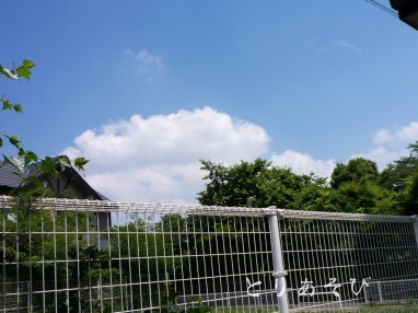 e0147757_2015989.jpg