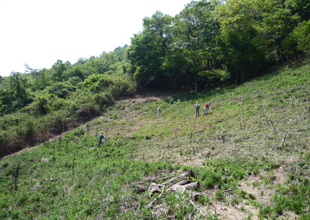 b0129962_18213726.jpg