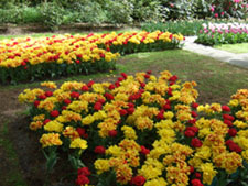 f0185066_11555715.jpg