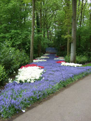 f0185066_121114.jpg