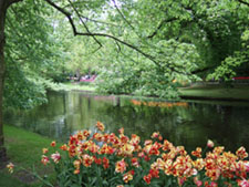 f0185066_12361.jpg