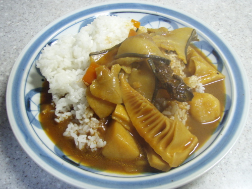 禁酒日はやっぱいカレーやろ_a0077071_1822730.jpg