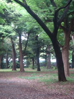 a0083571_1951535.jpg