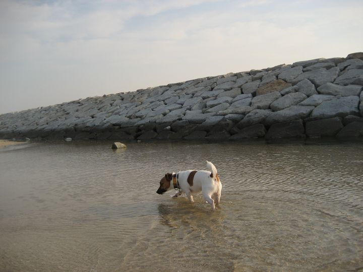 f0100871_21275246.jpg